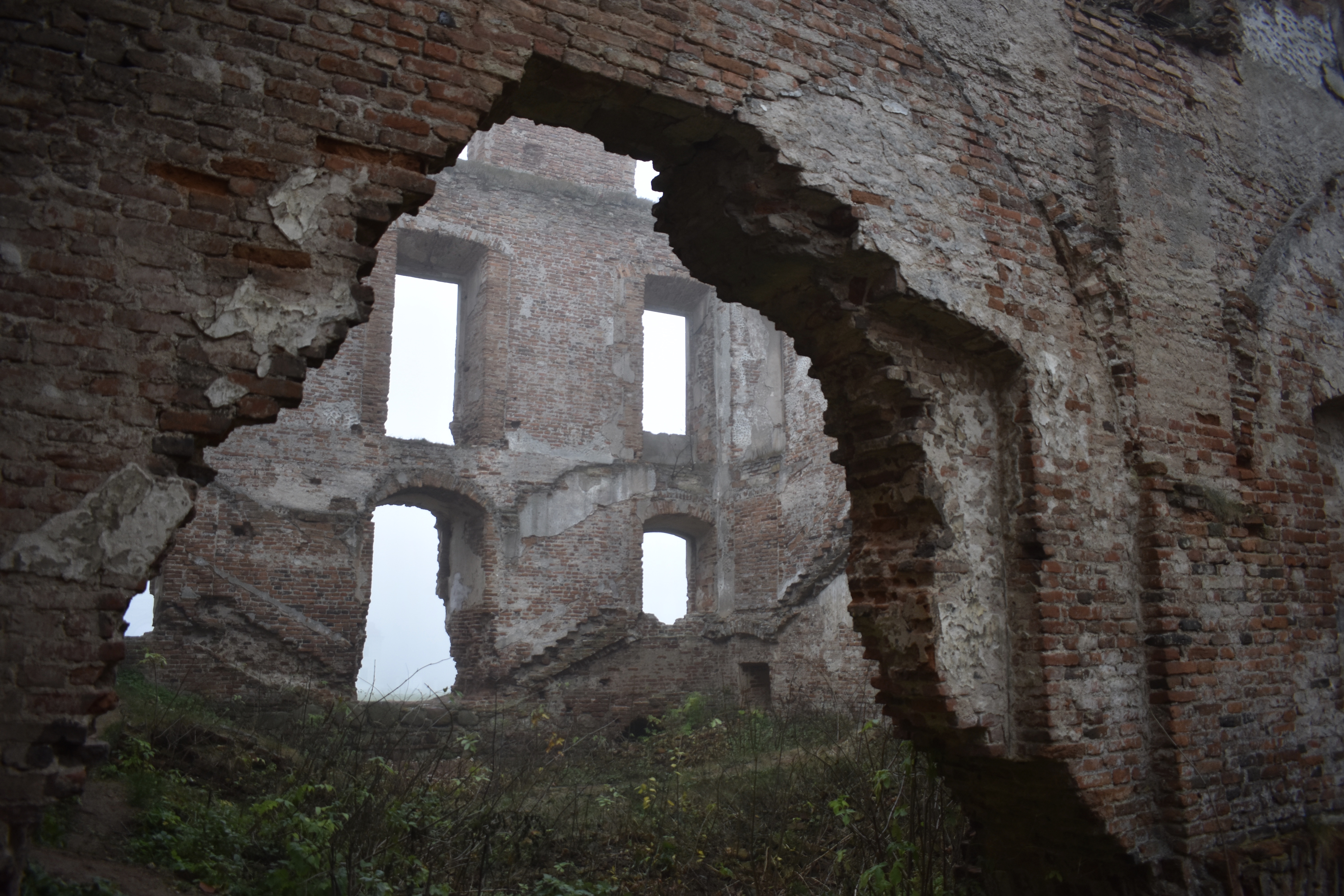 6EE4A586-930E-42B2-883D-B531B2434DD3