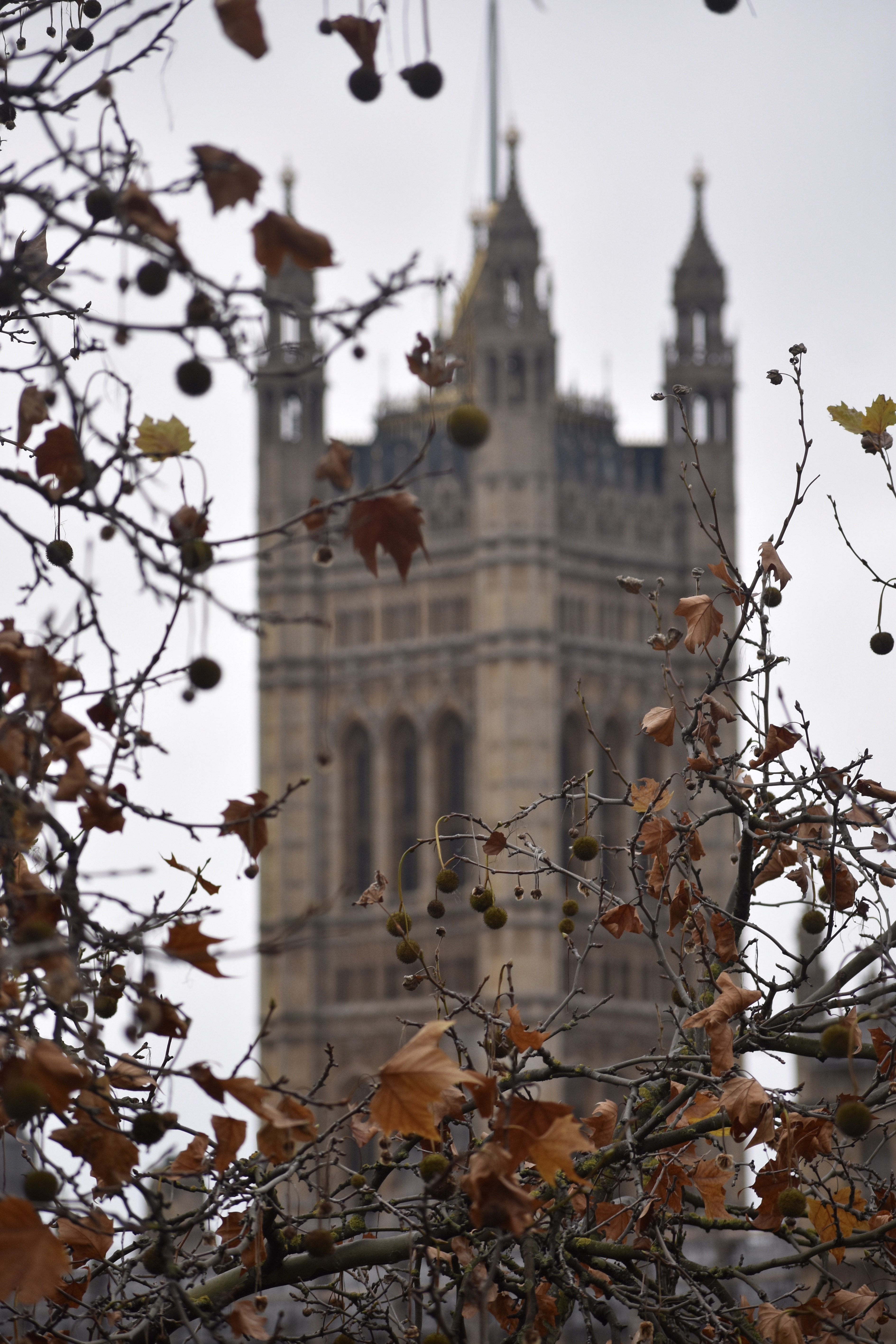 7A06E5D5-0620-498C-B2D7-B5D7A60EF142