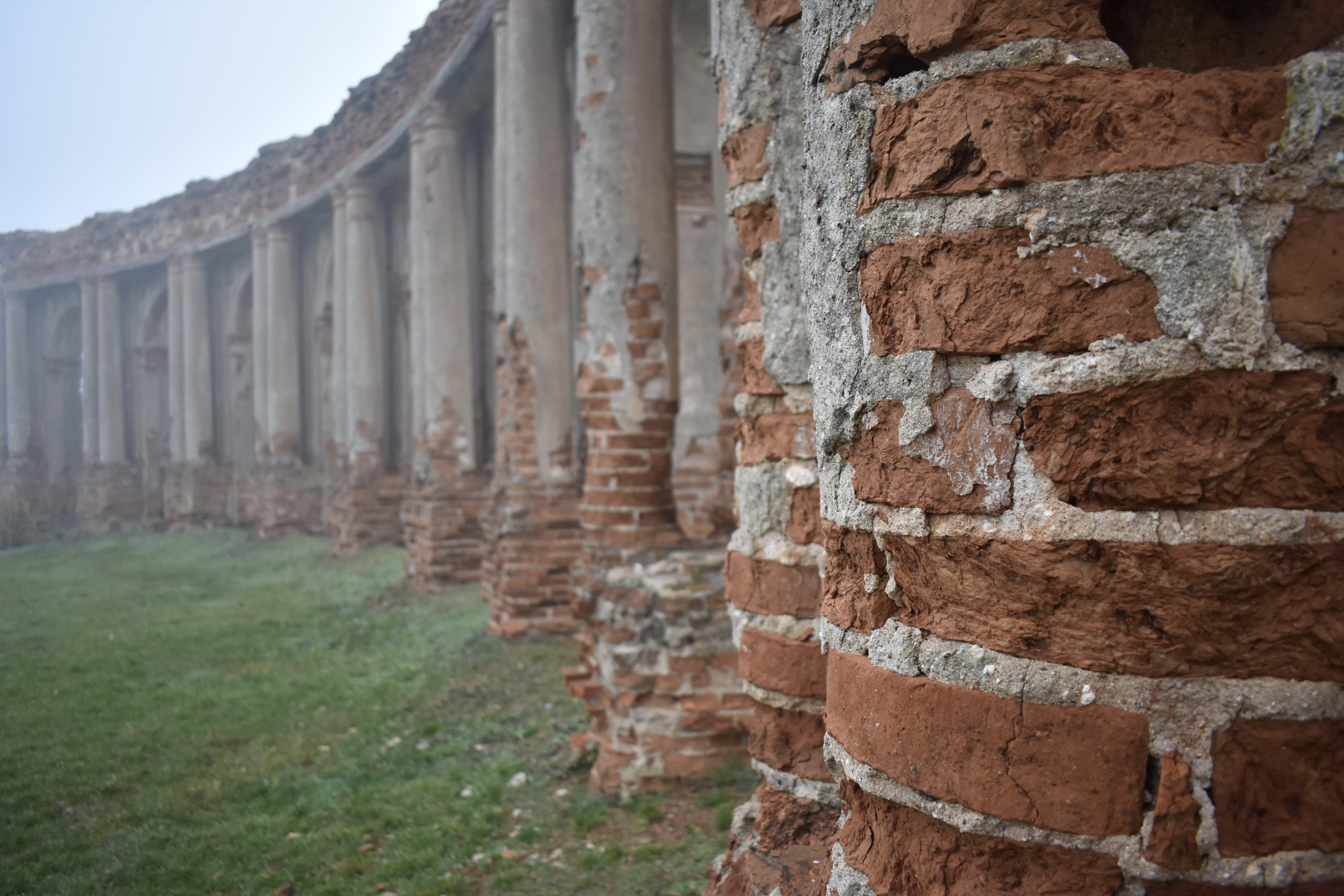 81041B04-6FBF-4138-A055-584958BD5FAF