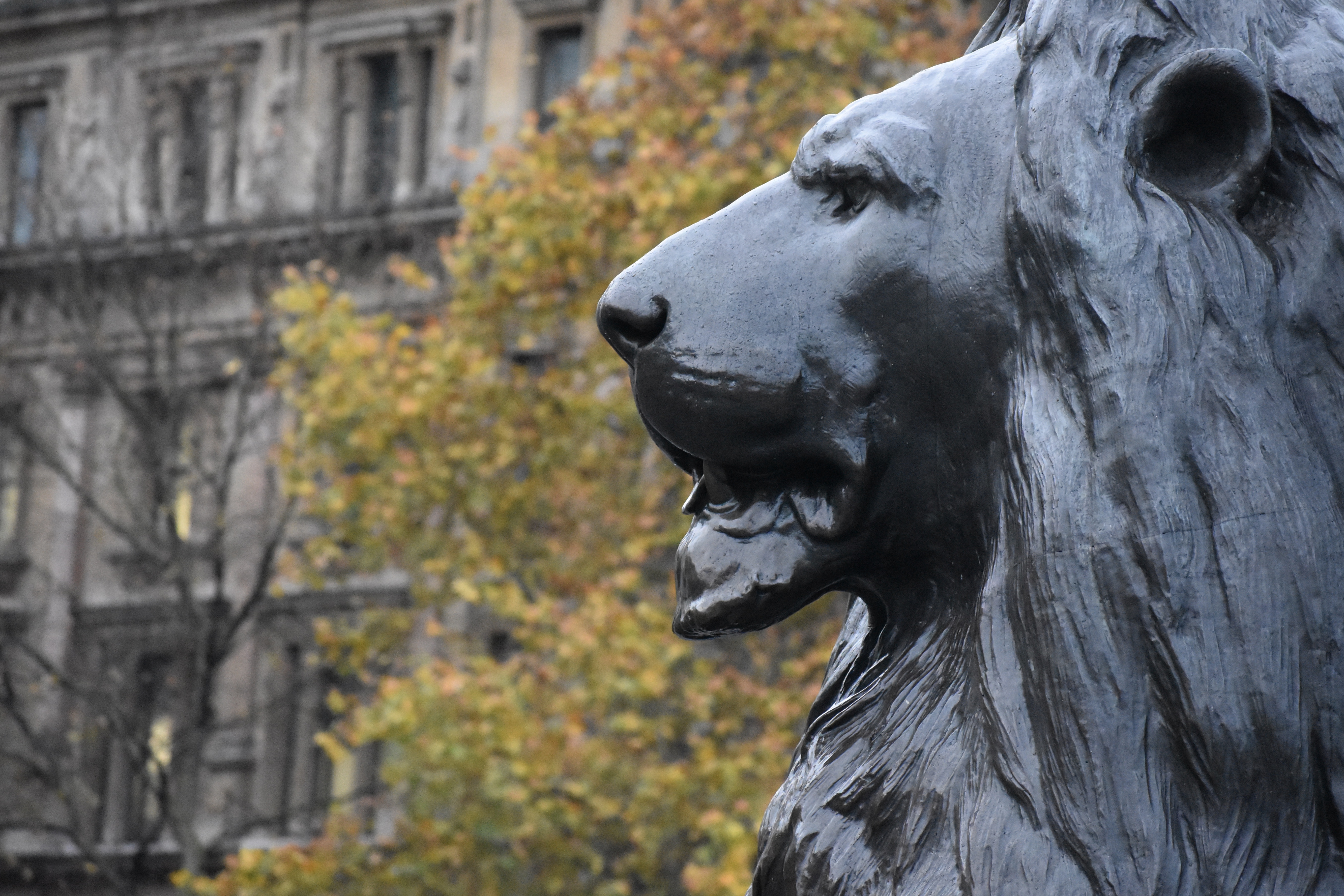 87194BD6-0502-441C-98D9-56EA634448B1