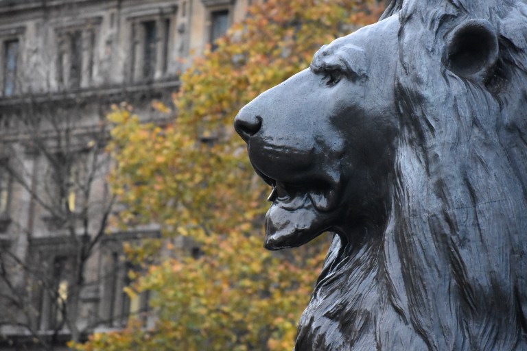 87194BD6-0502-441C-98D9-56EA634448B1