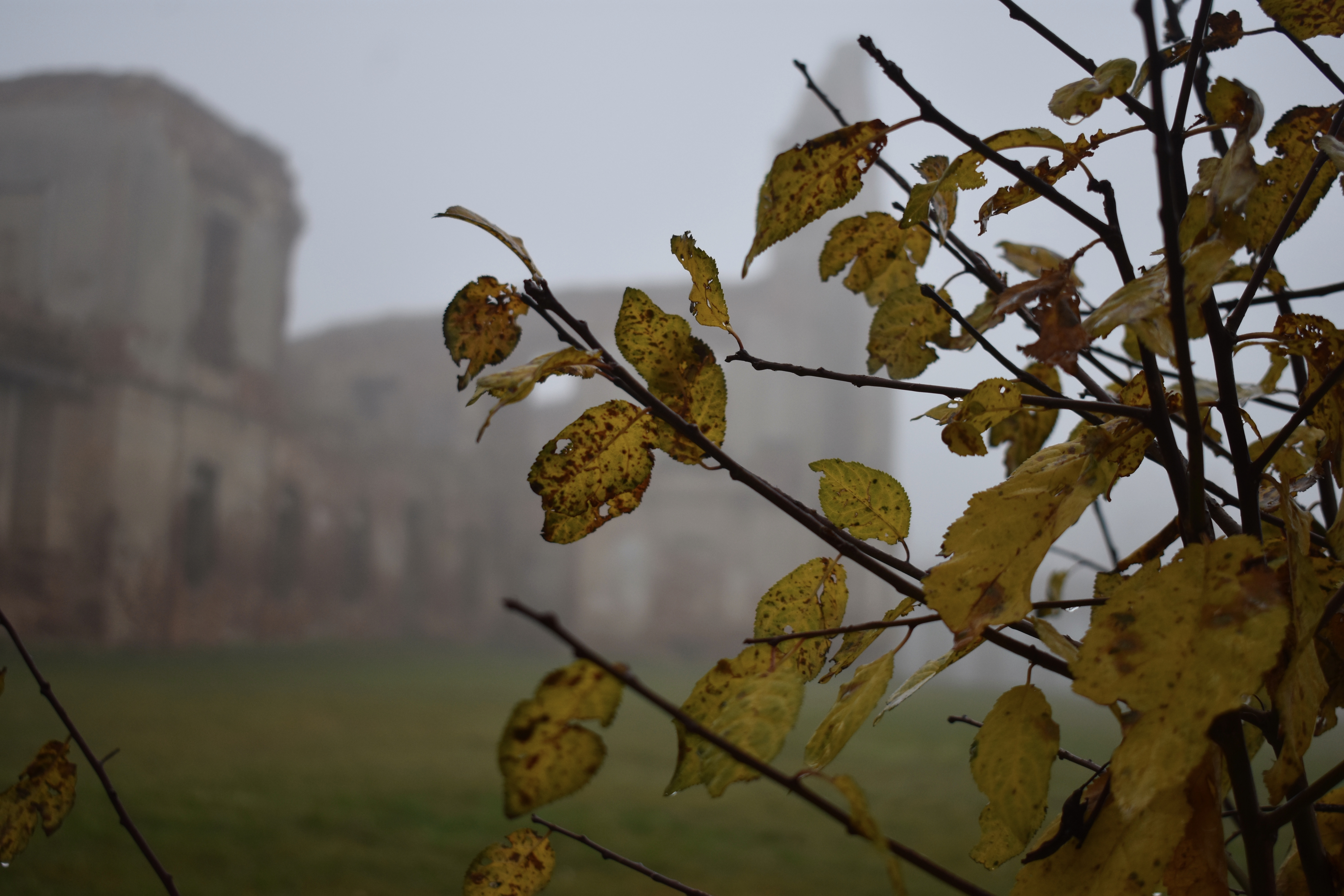 8A57337C-80B7-477B-9C80-F872EB529C4F