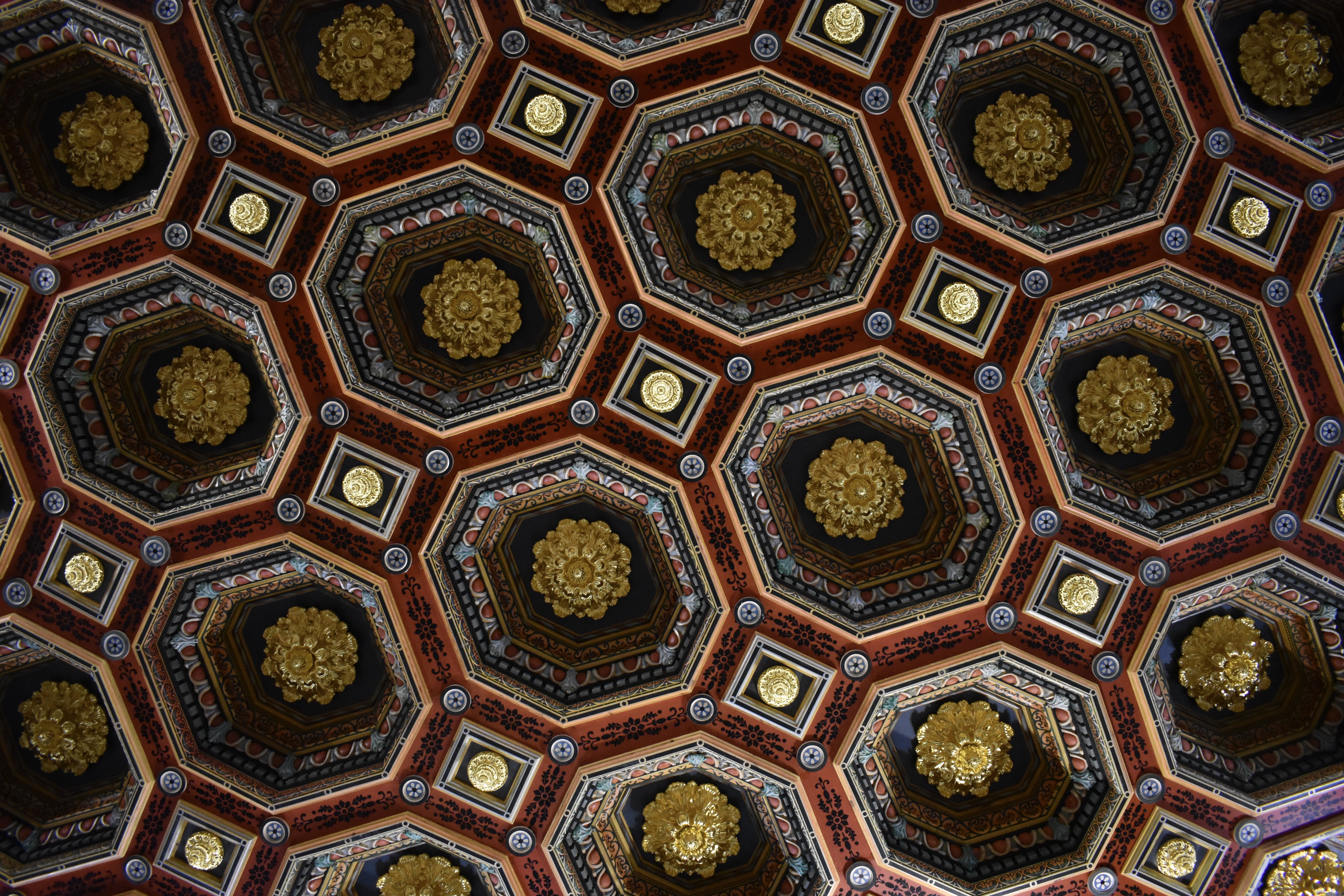 8F45473E-E981-415B-BF30-7573A9B7CD91