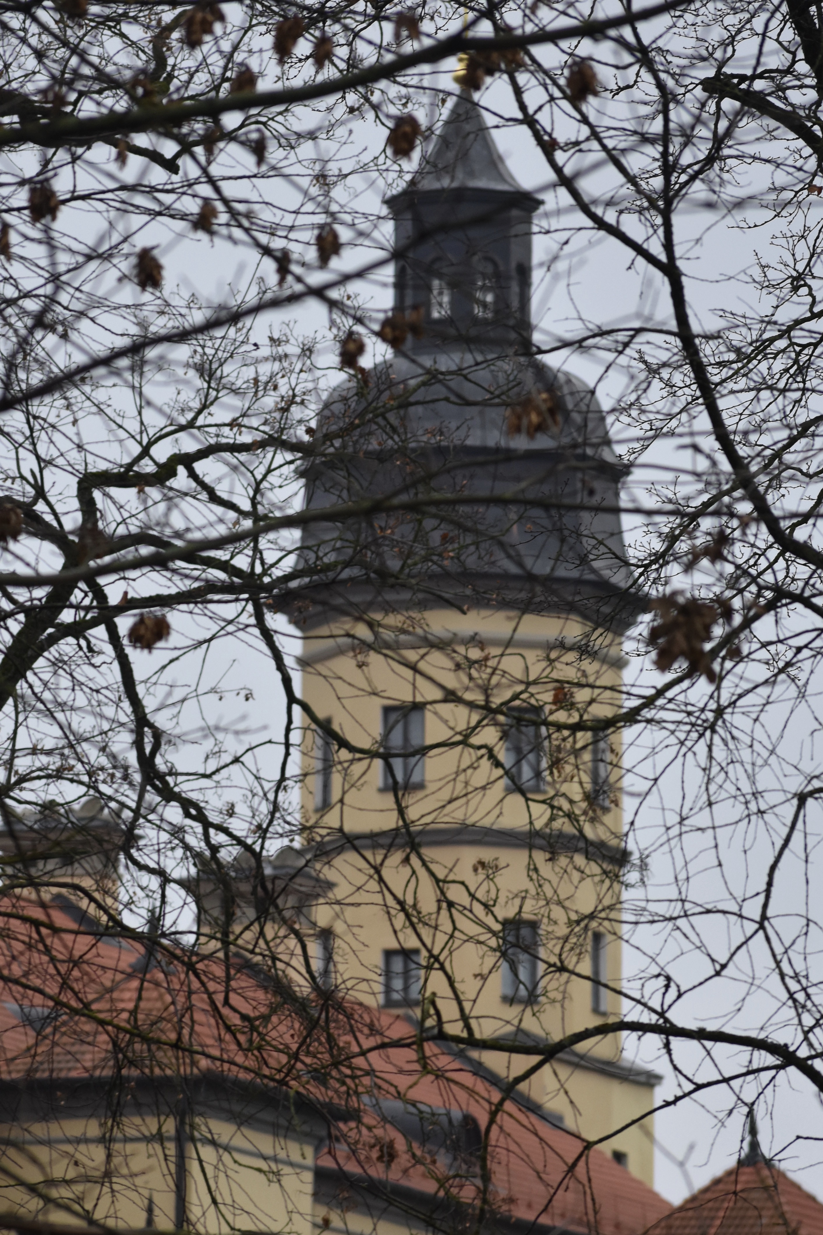 A6A16A59-B815-42AE-9225-7B1292710464