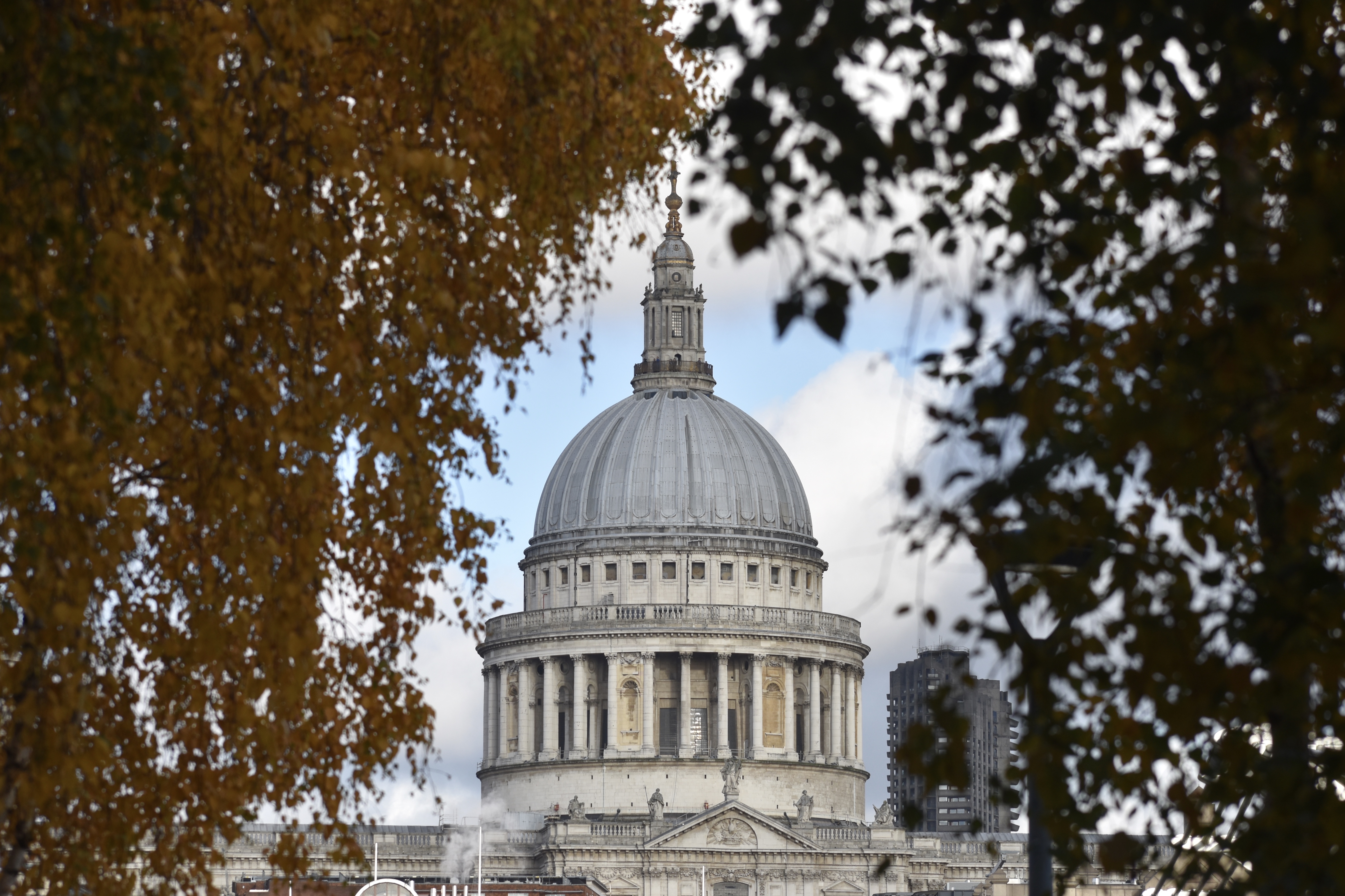 B1CA3F57-8125-42B7-8B3D-6F7A1BF3BB0F