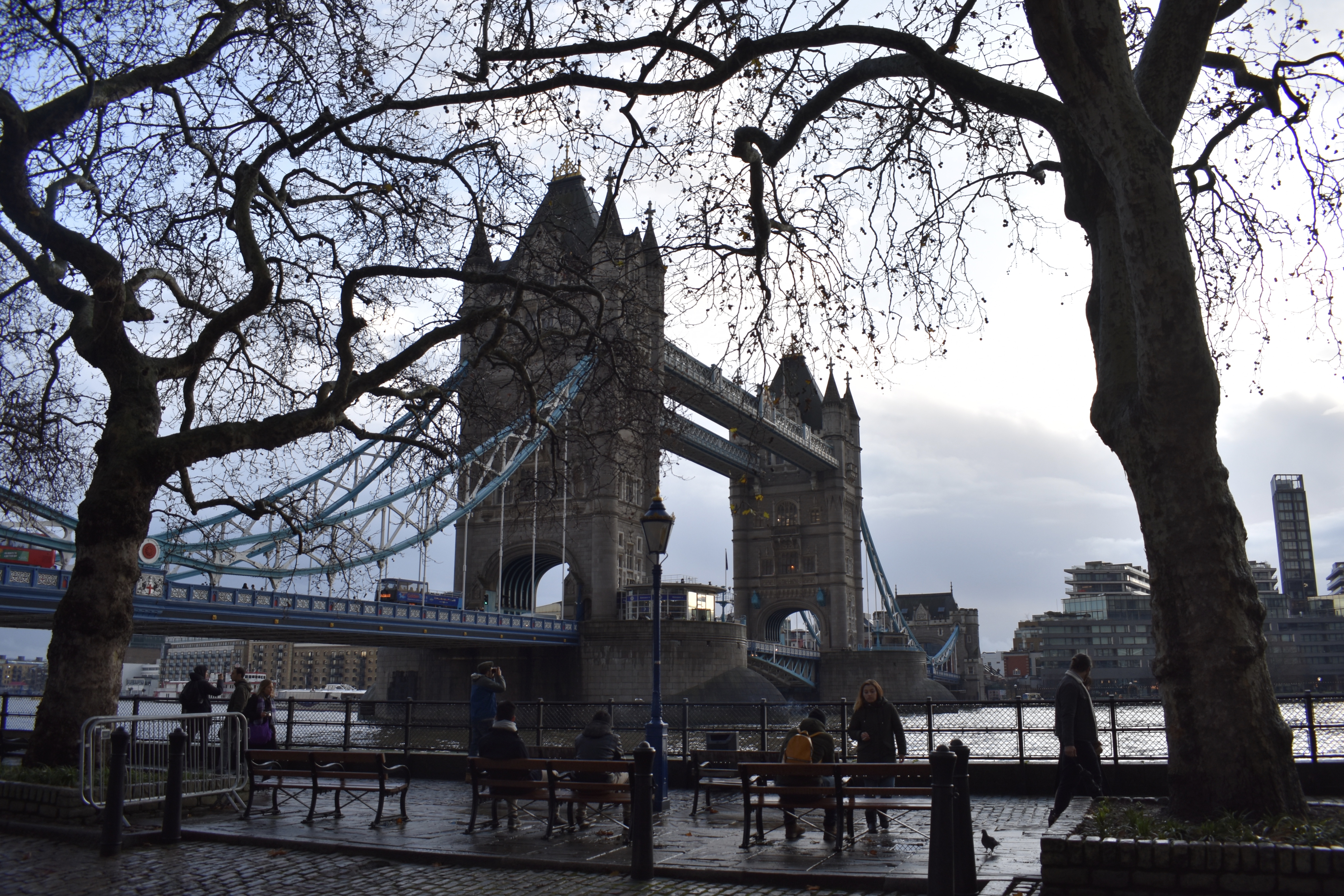 C413E491-3B50-43A7-89F4-CA86FB987AD6