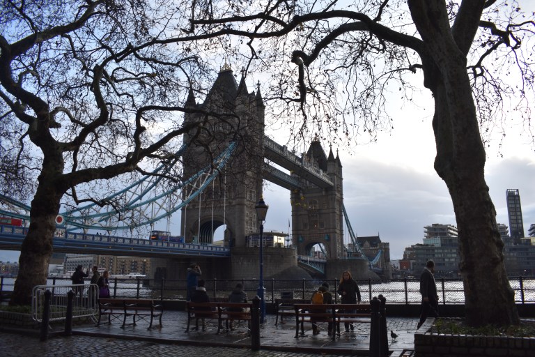 C413E491-3B50-43A7-89F4-CA86FB987AD6