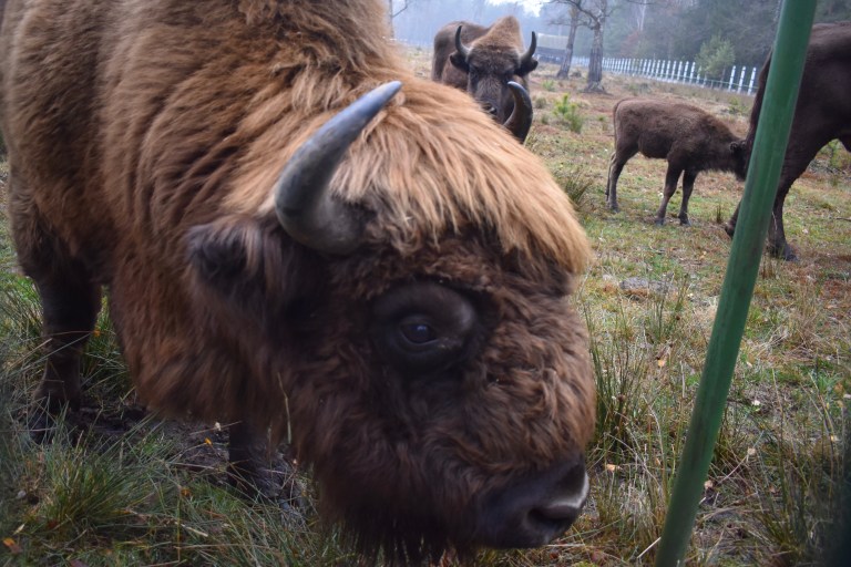 C66CF0EA-49E6-46E6-A222-B287BFD84F89