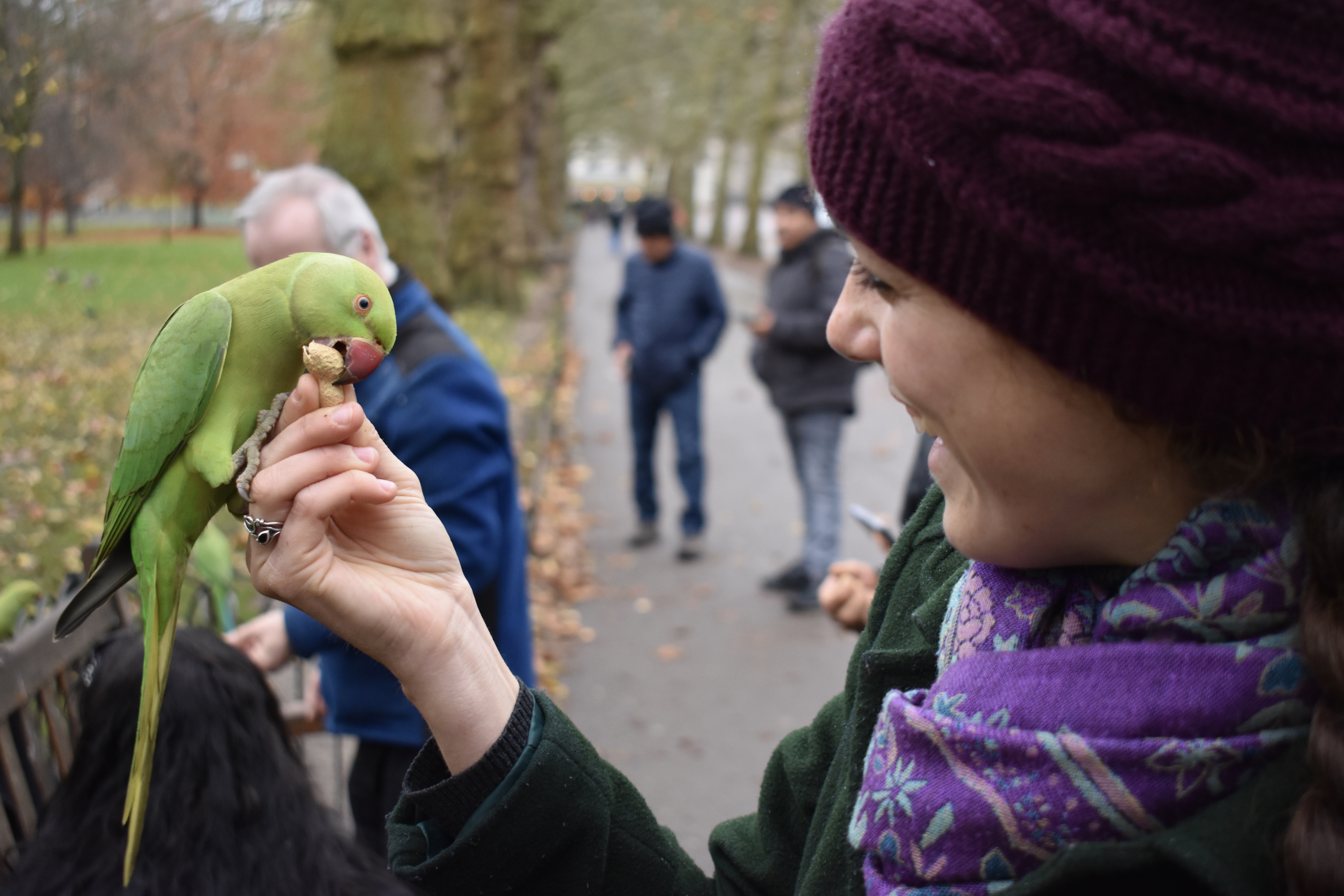 E4EC042B-8C03-4EDE-9E91-F7B248D96EE4