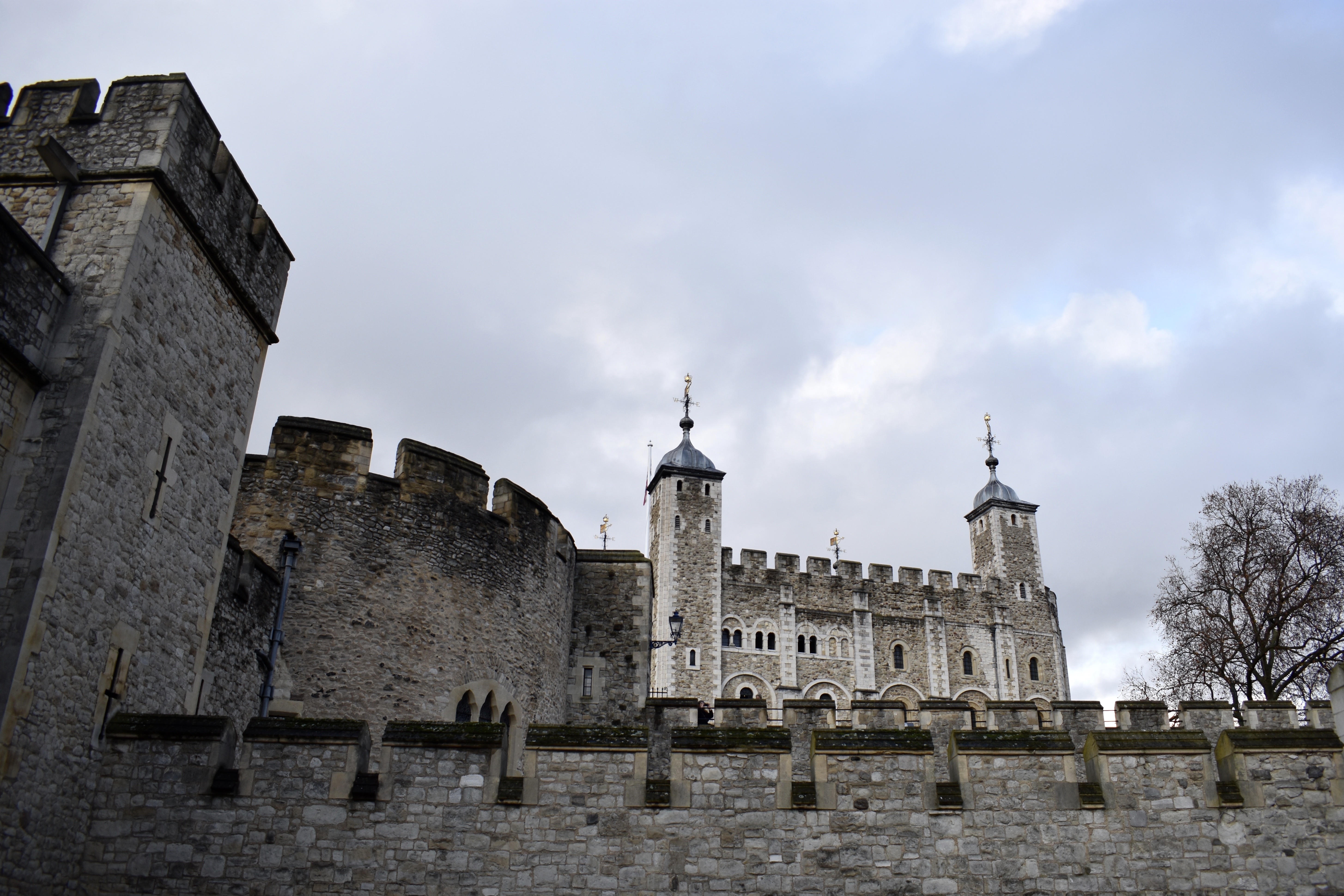 E82C58BE-B7C2-45F4-B35B-35F1DE4BEB4C