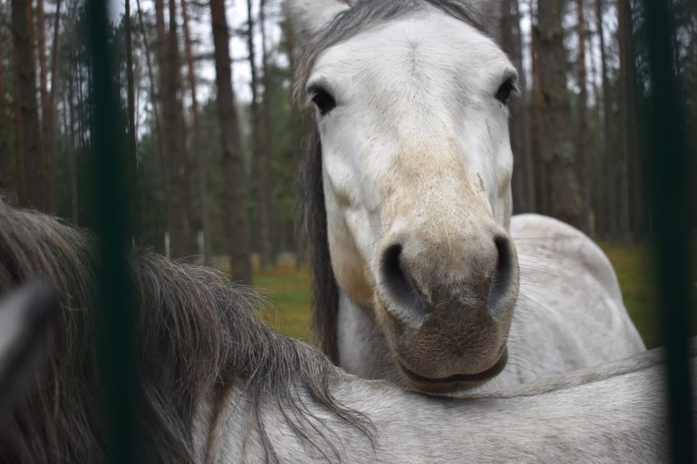 F21048C7-6EEE-4DB1-9562-B0CCB785C250