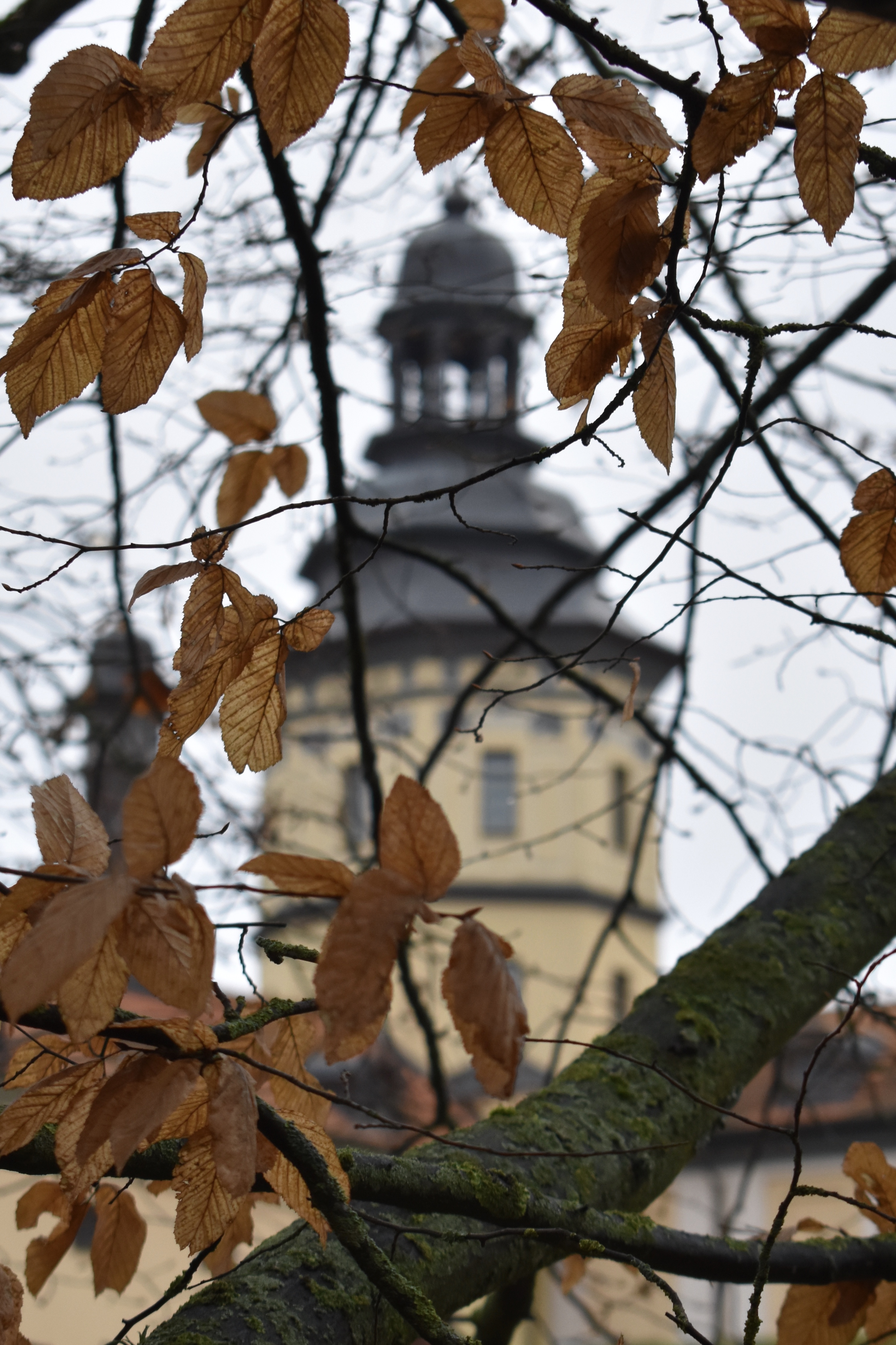 F755FBF1-3327-47DF-91CD-6614F7D3EEEC