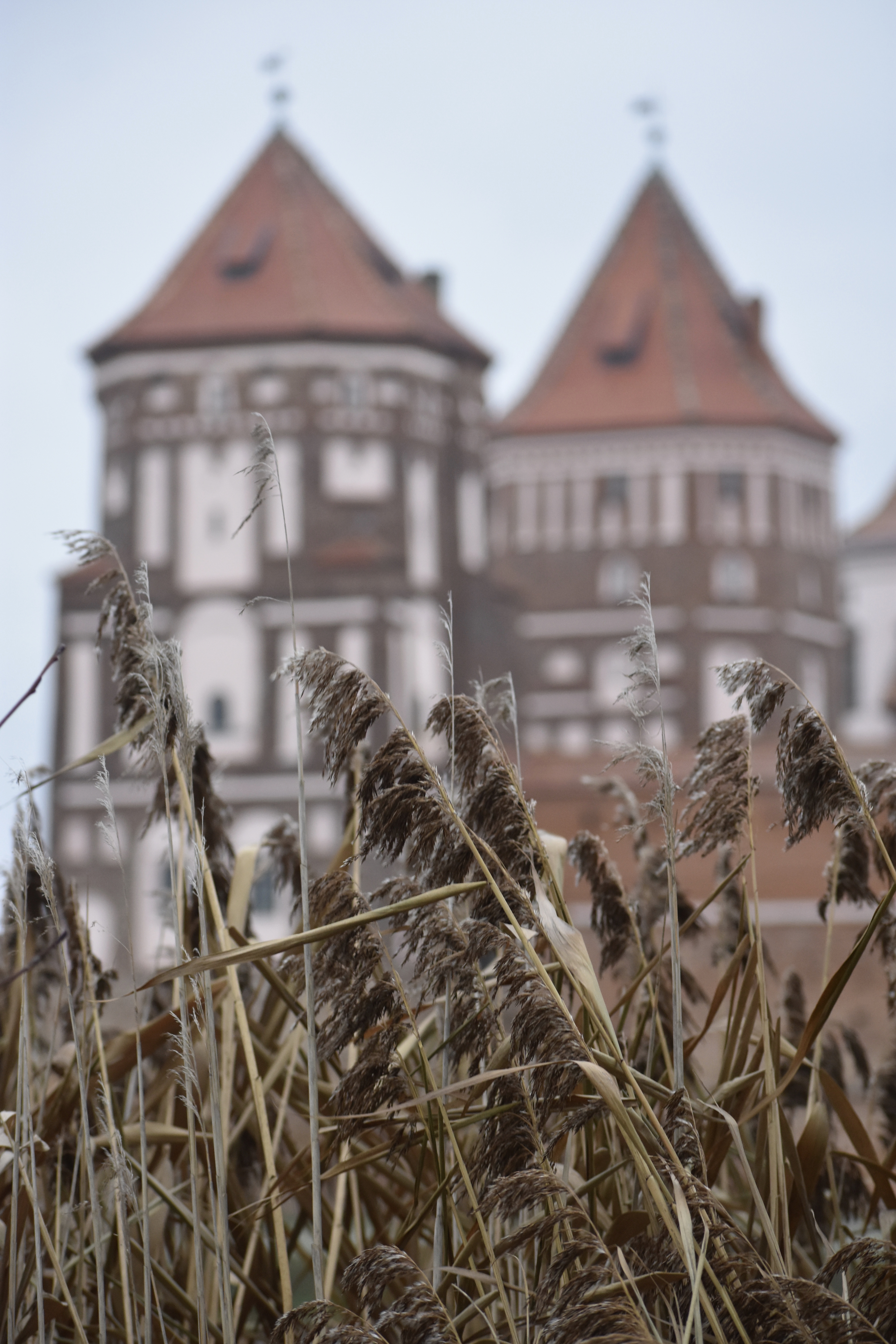 FB4601DD-58B3-4B8A-9776-F0BF489E20DD