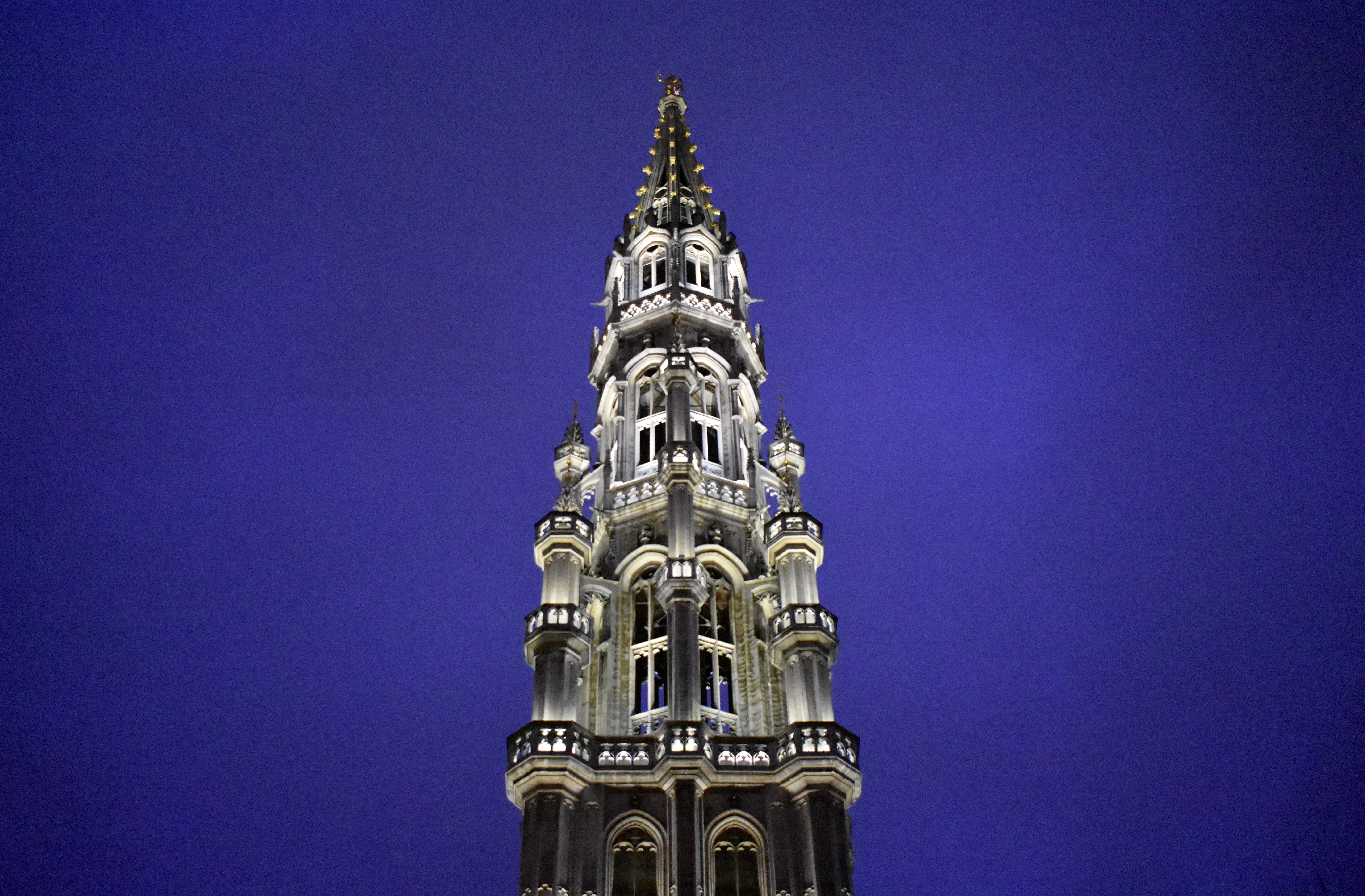 1153E795-827C-4900-BBED-955CEA53F97B