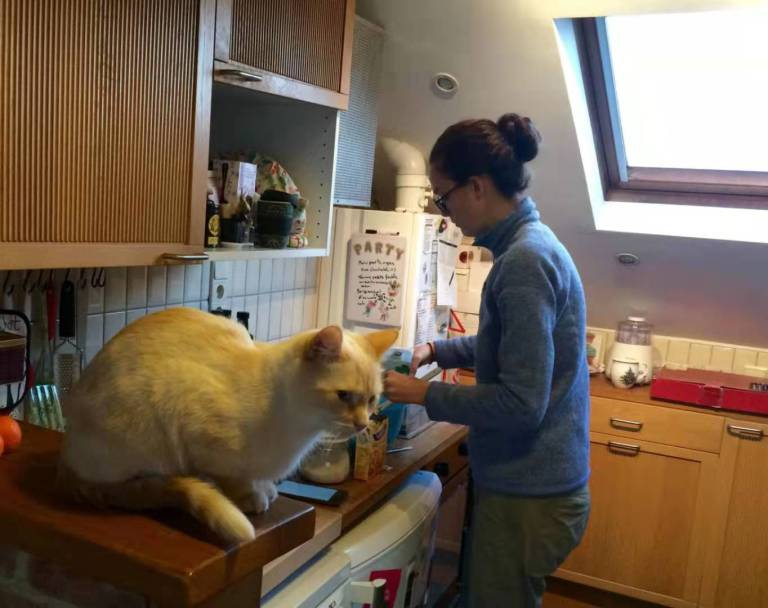 34F80A01-9143-4DA8-AFE3-3C9C0504C710