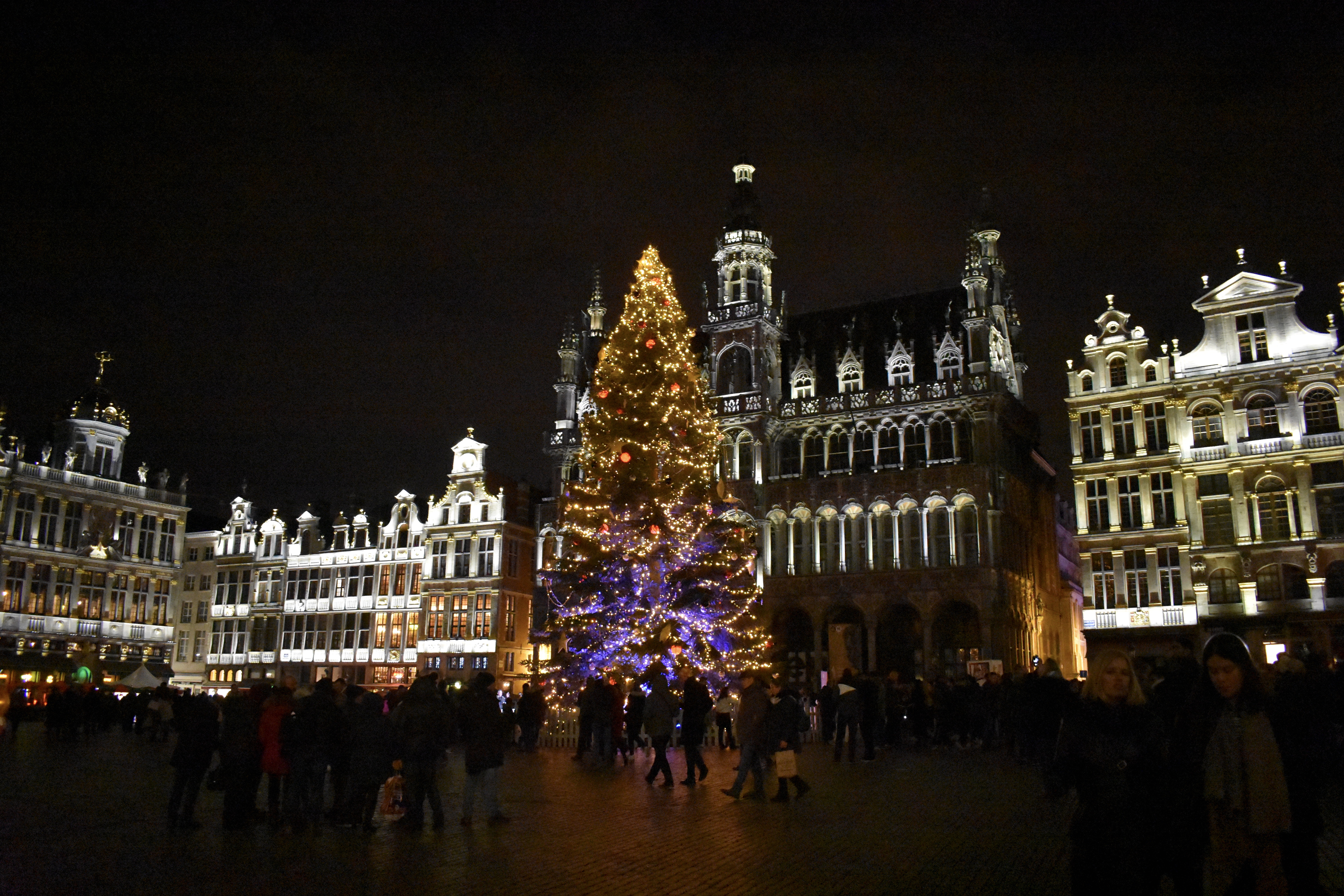 8C484F7B-725C-4DE1-837D-E2DA9445686E