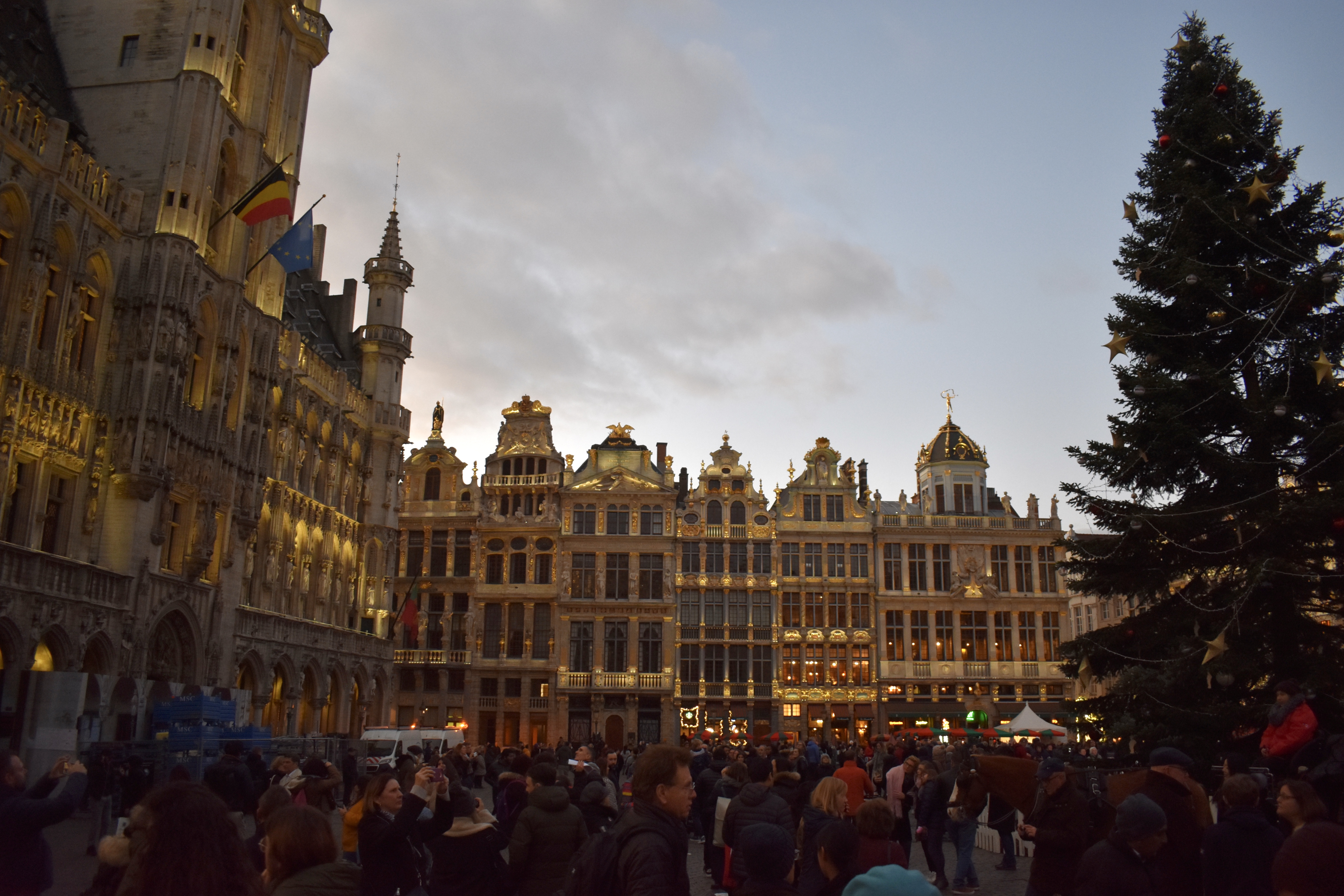 9678156A-33F2-411F-8629-F030695F99A3