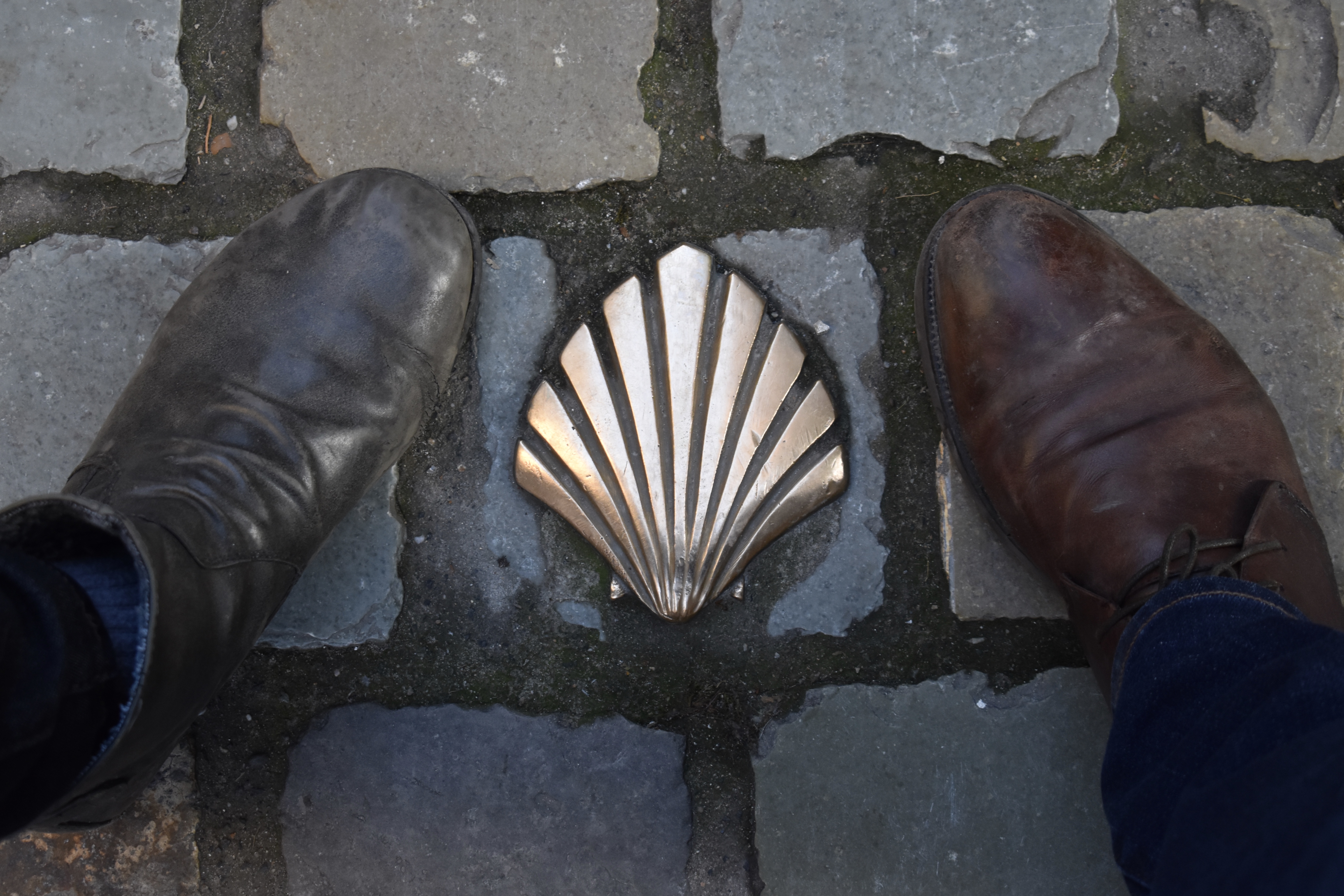 BBE8F9FF-384F-4F05-BCBA-978C2A1020B8