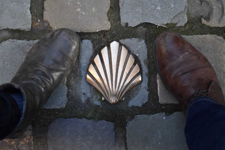 BBE8F9FF-384F-4F05-BCBA-978C2A1020B8